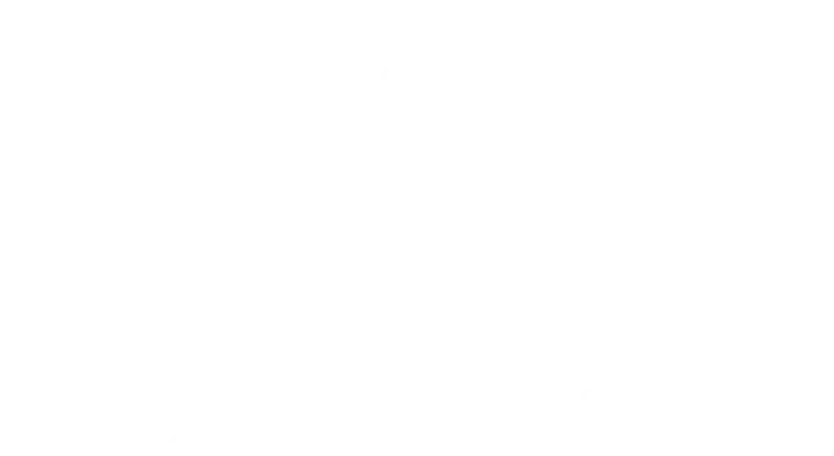 ANDIS WHITE LOGO