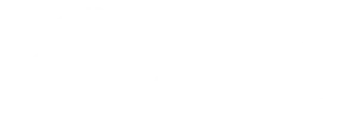 ASICS WHITE LOGO